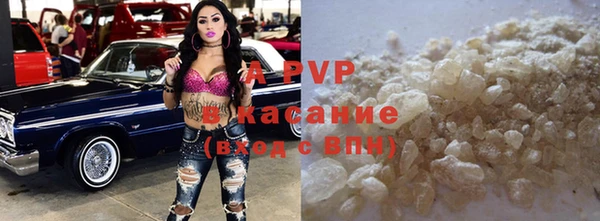 прущие грибы Иннополис